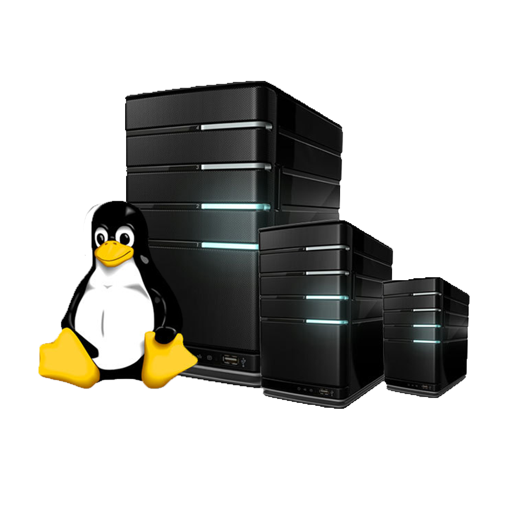 Compre VPS Linux de 1 Dólar, 6 Serviços de Hospedagem Linux VPS Baratos ...